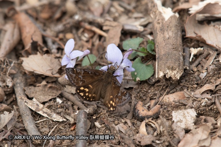 180403_sagamihara_24.jpg