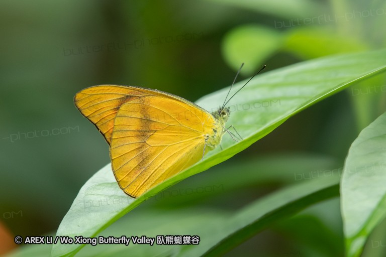 180527_klbfpark_14.jpg