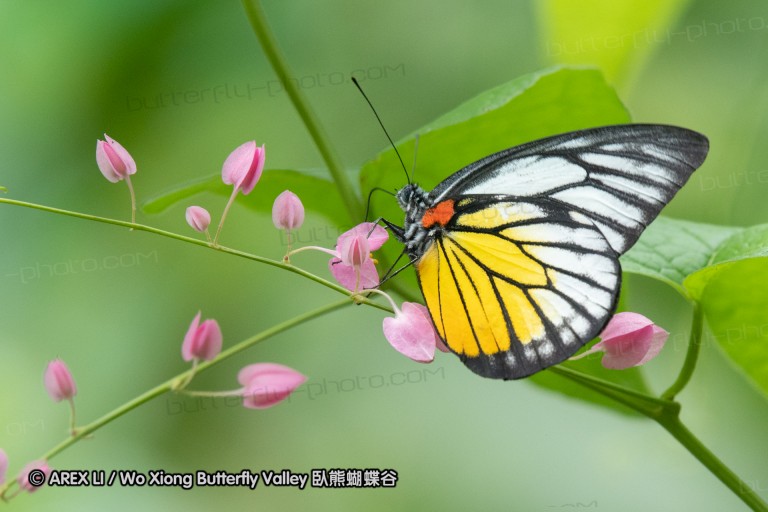 180527_klbfpark_15.jpg