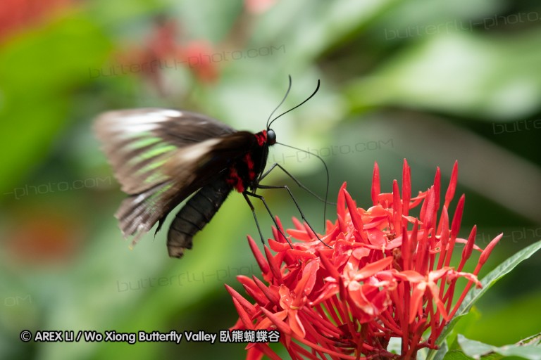 180527_klbfpark_35.jpg