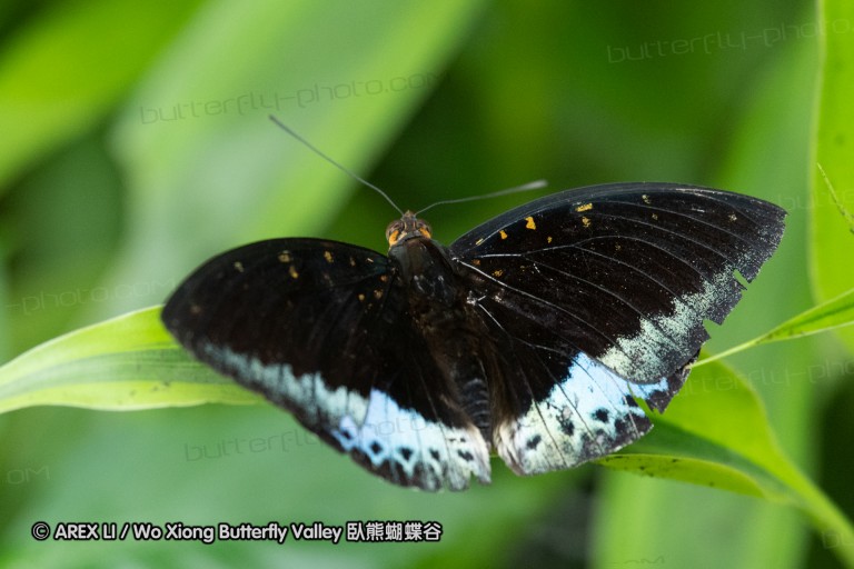 180527_klbfpark_44.jpg