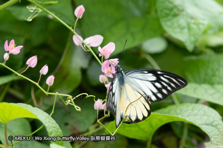 180527_klbfpark_50.jpg