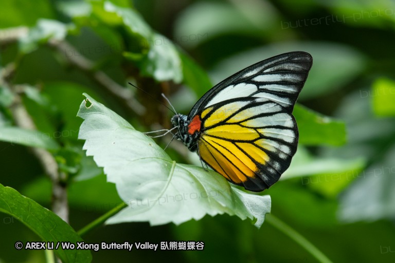 180527_klbfpark_53.jpg