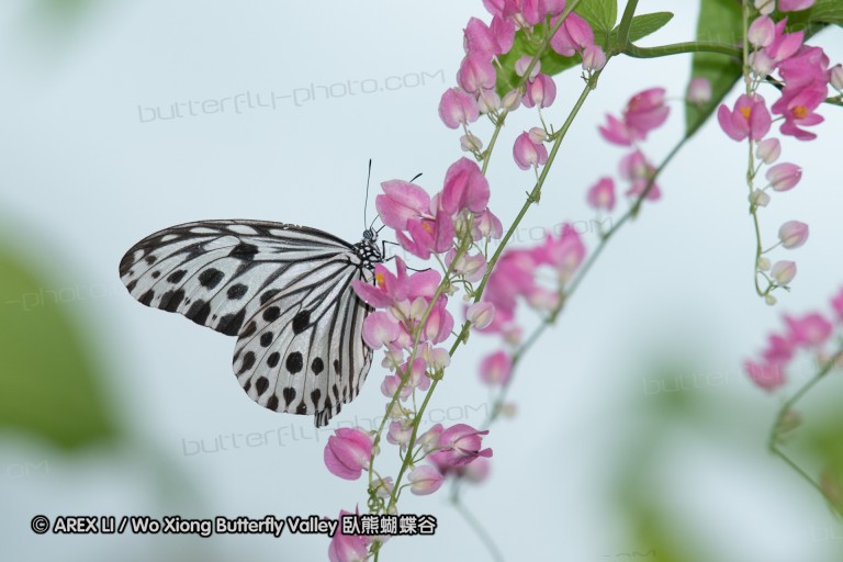 180527_klbfpark_54.jpg