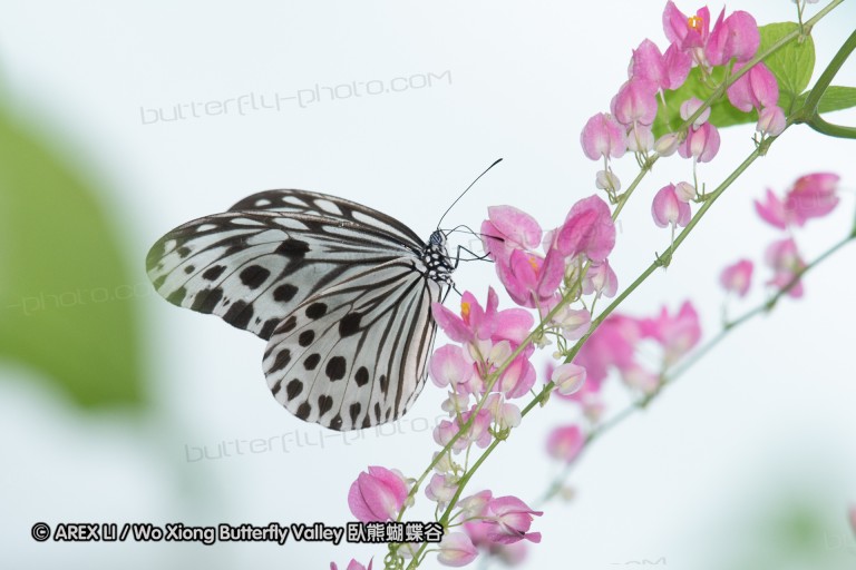 180527_klbfpark_55.jpg