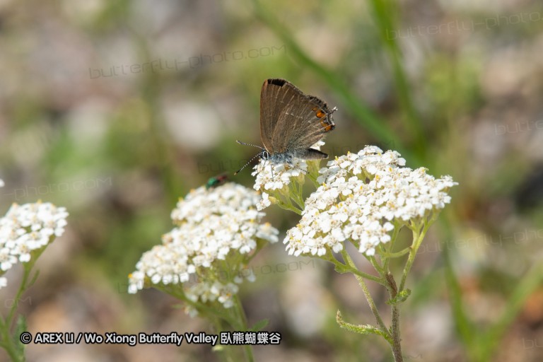 180611_bg_ponor_003.jpg