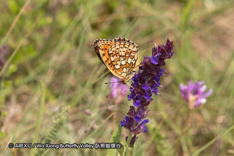 180611_bg_ponor_012.jpg