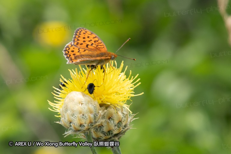 180611_bg_ponor_023.jpg