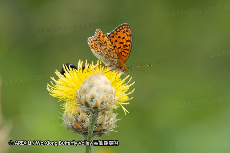 180611_bg_ponor_024.jpg