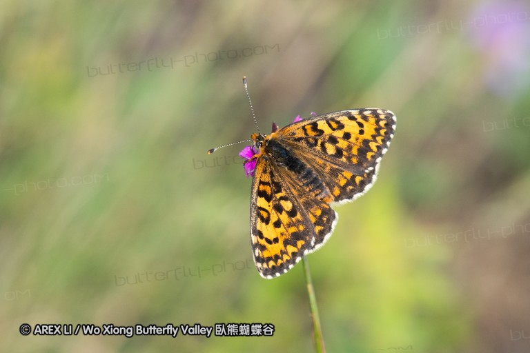 180611_bg_ponor_027.jpg