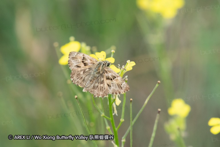 180611_bg_ponor_038.jpg
