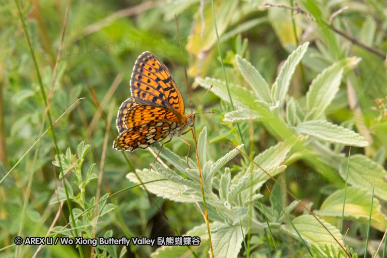 180611_bg_ponor_043.jpg