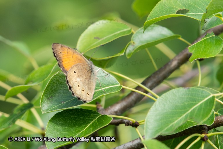180611_bg_ponor_048.jpg