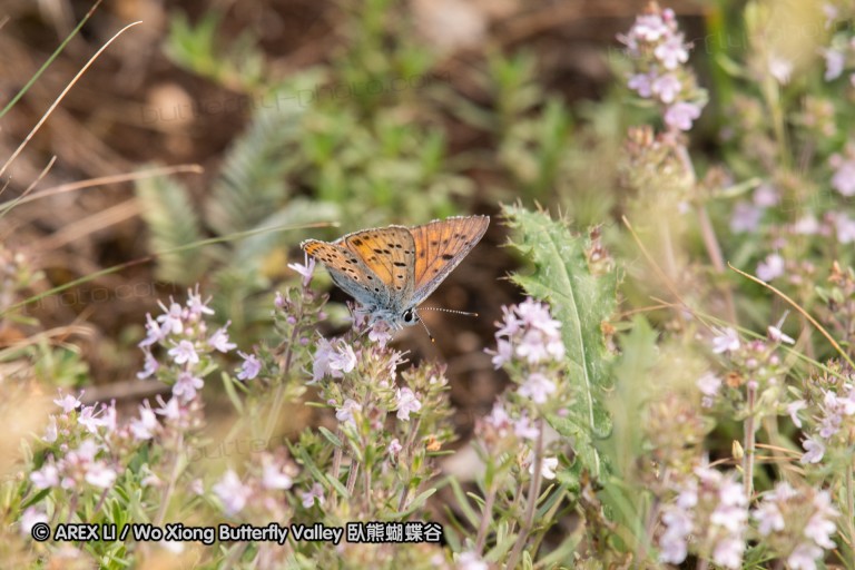 180611_bg_ponor_054.jpg