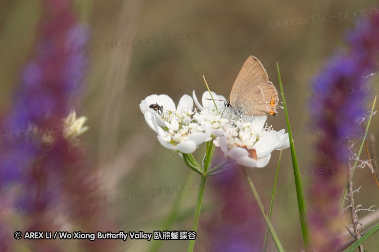180611_bg_ponor_057.jpg