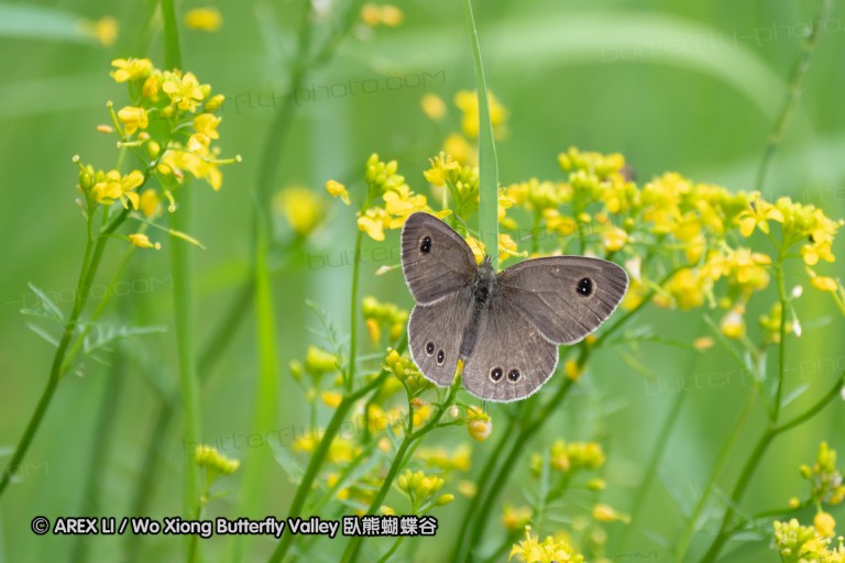 180704_jp_hokkaido_025.jpg