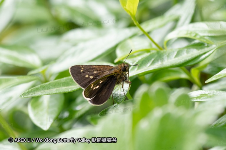 180704_jp_hokkaido_039.jpg