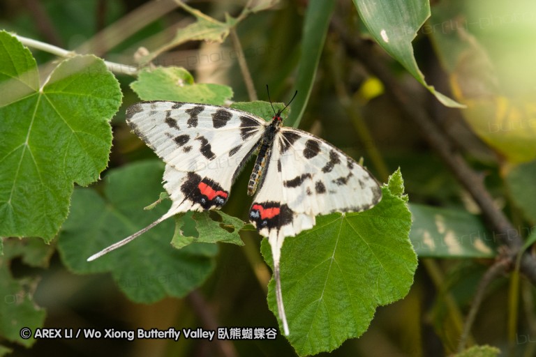 180811_cn_jiangxi_004.jpg