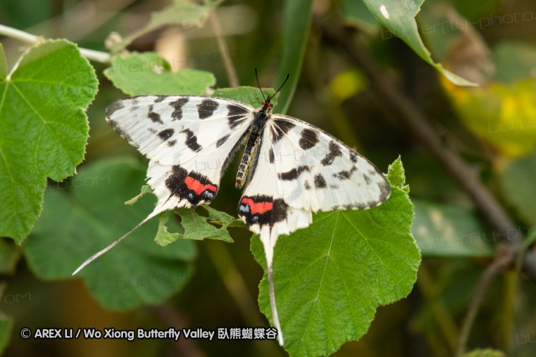 180811_cn_jiangxi_006.jpg