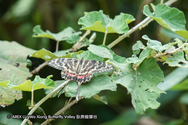 180811_cn_jiangxi_007.jpg