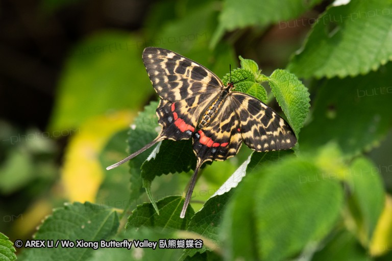 180811_cn_jiangxi_015.jpg