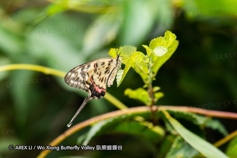 180811_cn_jiangxi_017.jpg