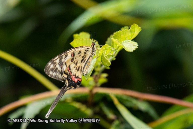 180811_cn_jiangxi_019.jpg