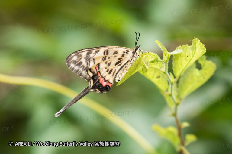 180811_cn_jiangxi_020.jpg