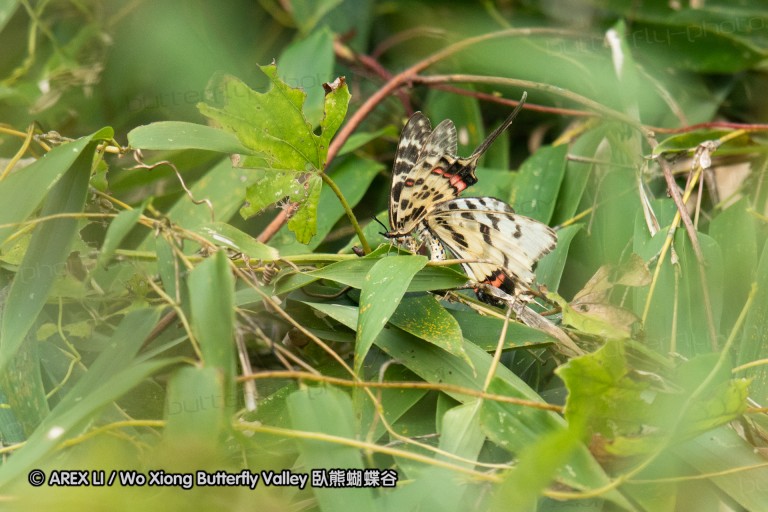 180811_cn_jiangxi_023.jpg