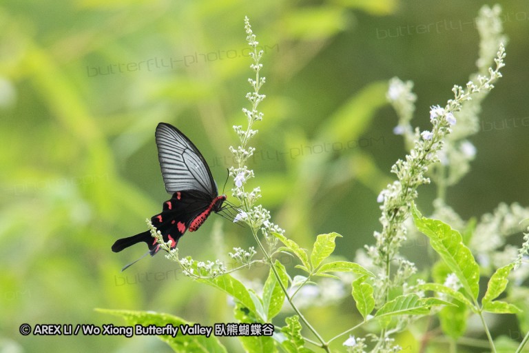 180811_cn_jiangxi_024.jpg