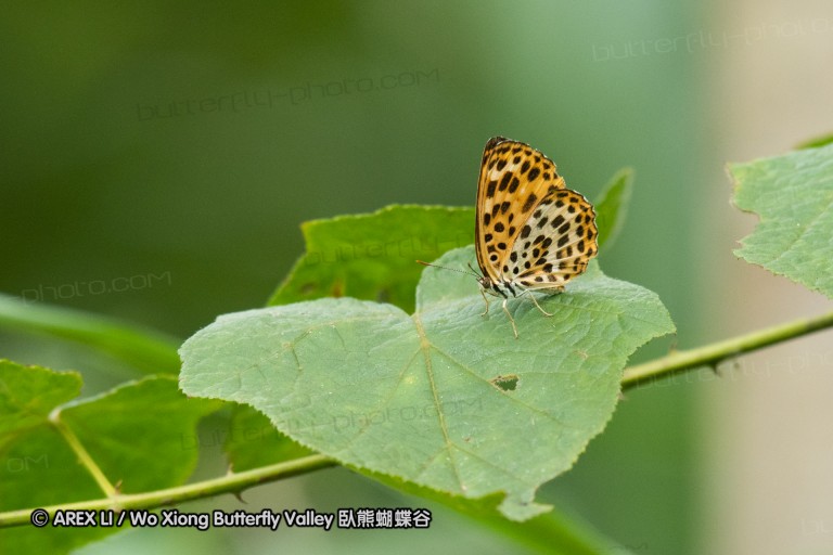 180811_cn_jiangxi_032.jpg