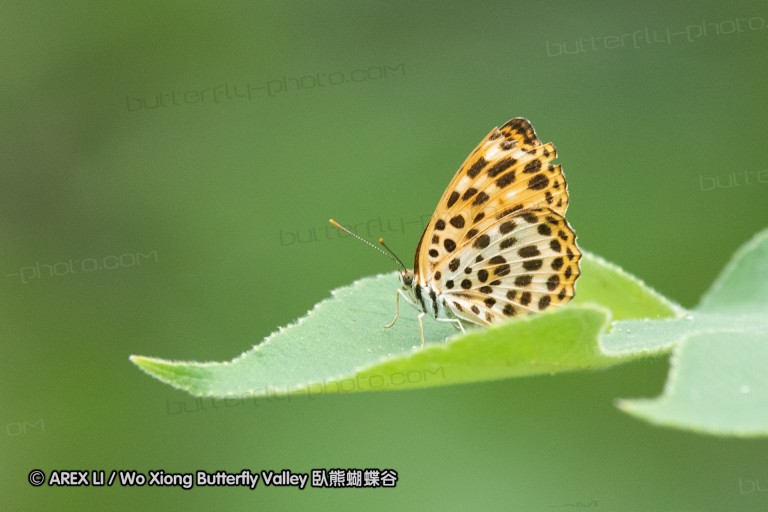 180811_cn_jiangxi_034.jpg