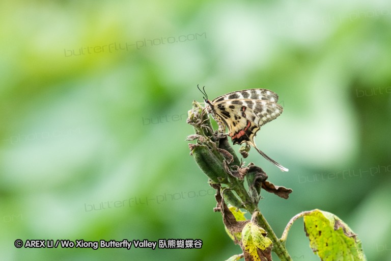 180811_cn_jiangxi_036.jpg