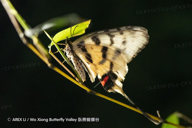 180811_cn_jiangxi_042.jpg