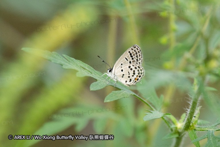 180812_cn_jiangxi_001.jpg