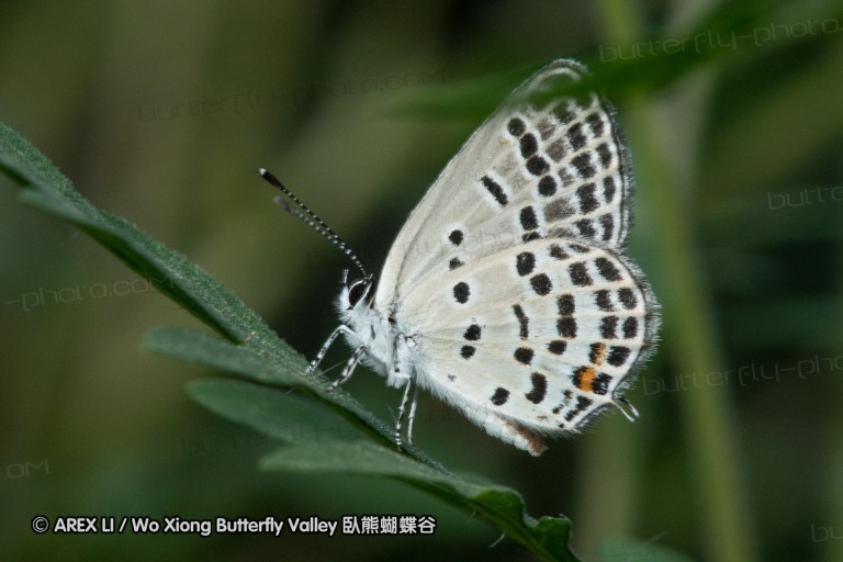 180812_cn_jiangxi_003.jpg