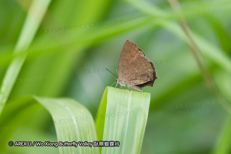 180812_cn_jiangxi_010.jpg