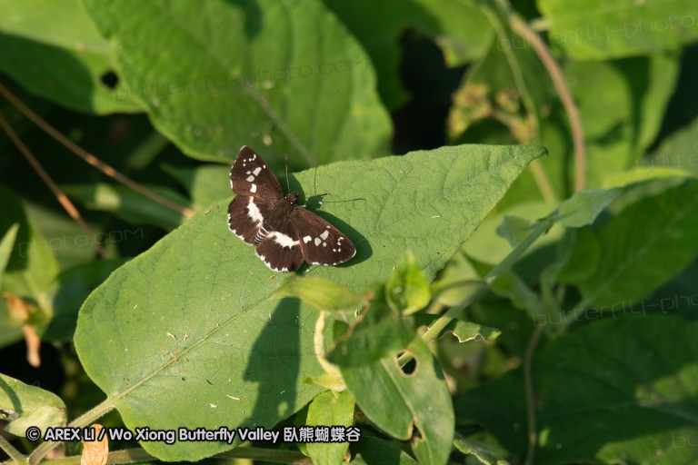 180812_cn_jiangxi_011.jpg