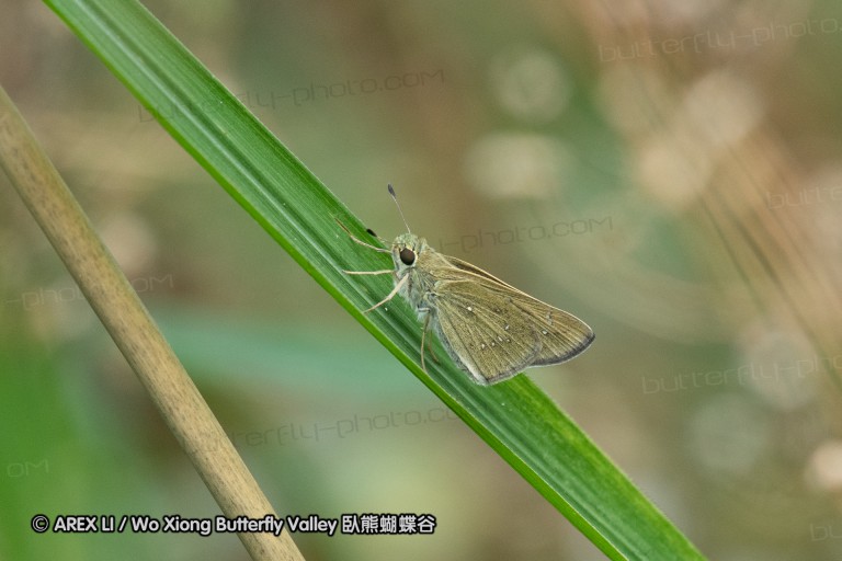 180812_cn_jiangxi_013.jpg