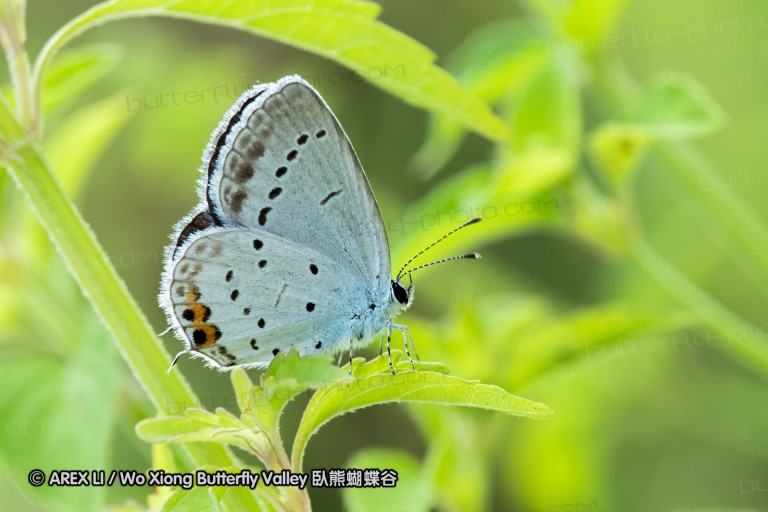 180812_cn_jiangxi_016.jpg