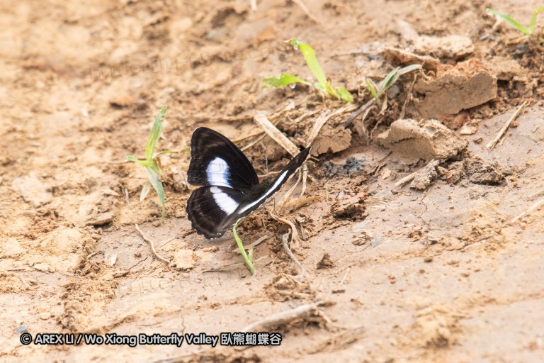 180812_cn_jiangxi_018.jpg