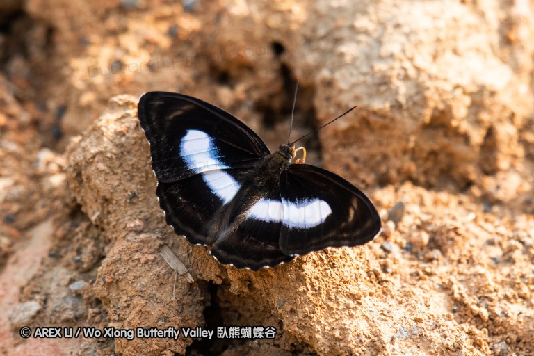 180812_cn_jiangxi_022.jpg