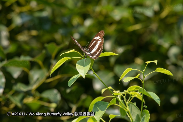 180812_cn_jiangxi_024.jpg