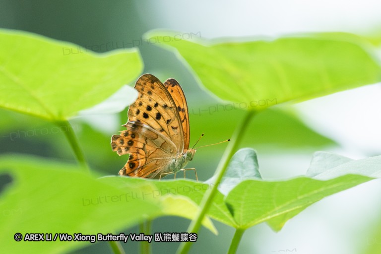 180812_cn_jiangxi_031.jpg