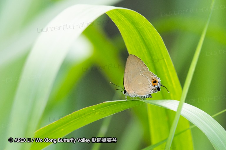 180812_cn_jiangxi_036.jpg