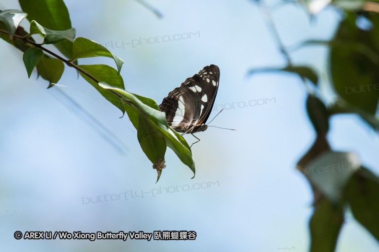 190119_aus_coottha_025.jpg