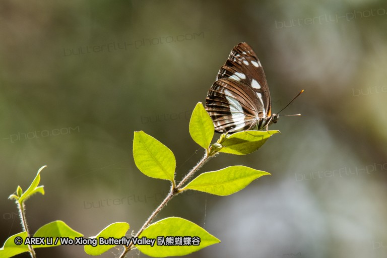 190119_aus_coottha_033.jpg
