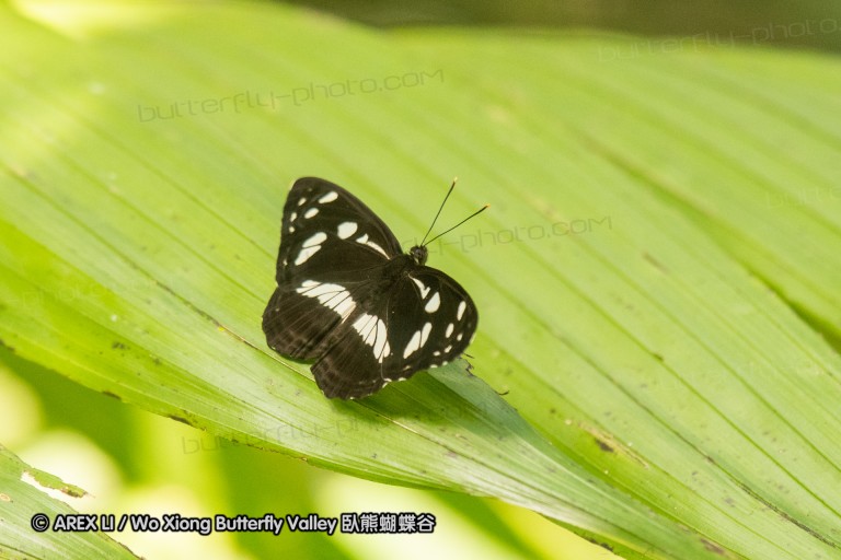 190119_aus_coottha_063.jpg
