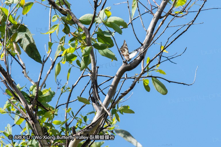 190121_aus_noosa_018.jpg