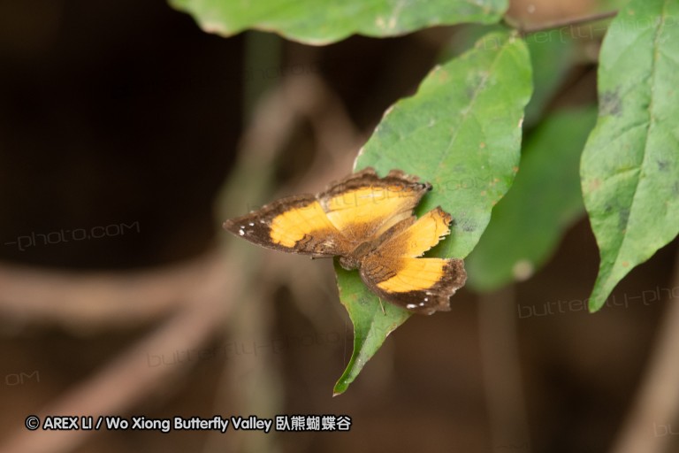 190204_gh_bunso_039.jpg